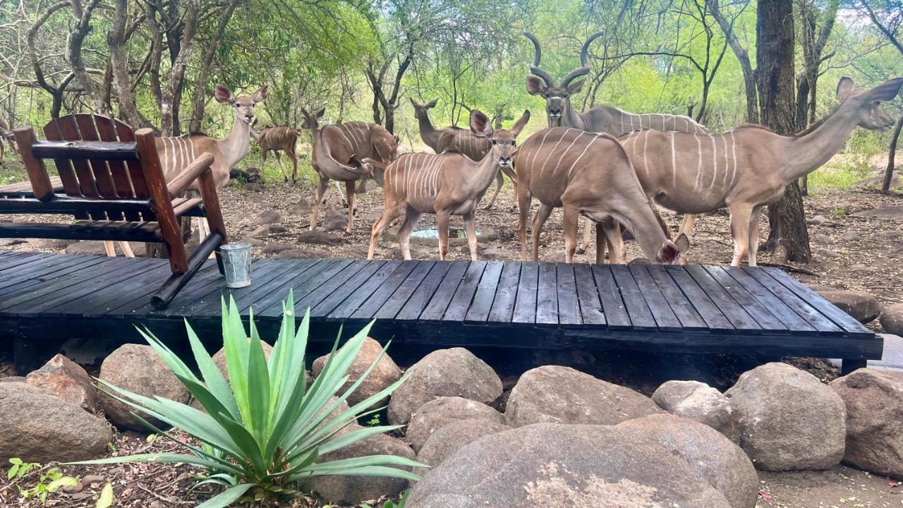 Kruger Kumba - Lahlekile Nathi Apartment Marloth Park Exterior photo