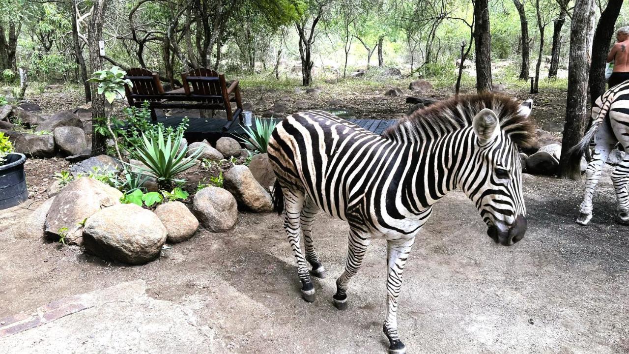 Kruger Kumba - Lahlekile Nathi Apartment Marloth Park Exterior photo